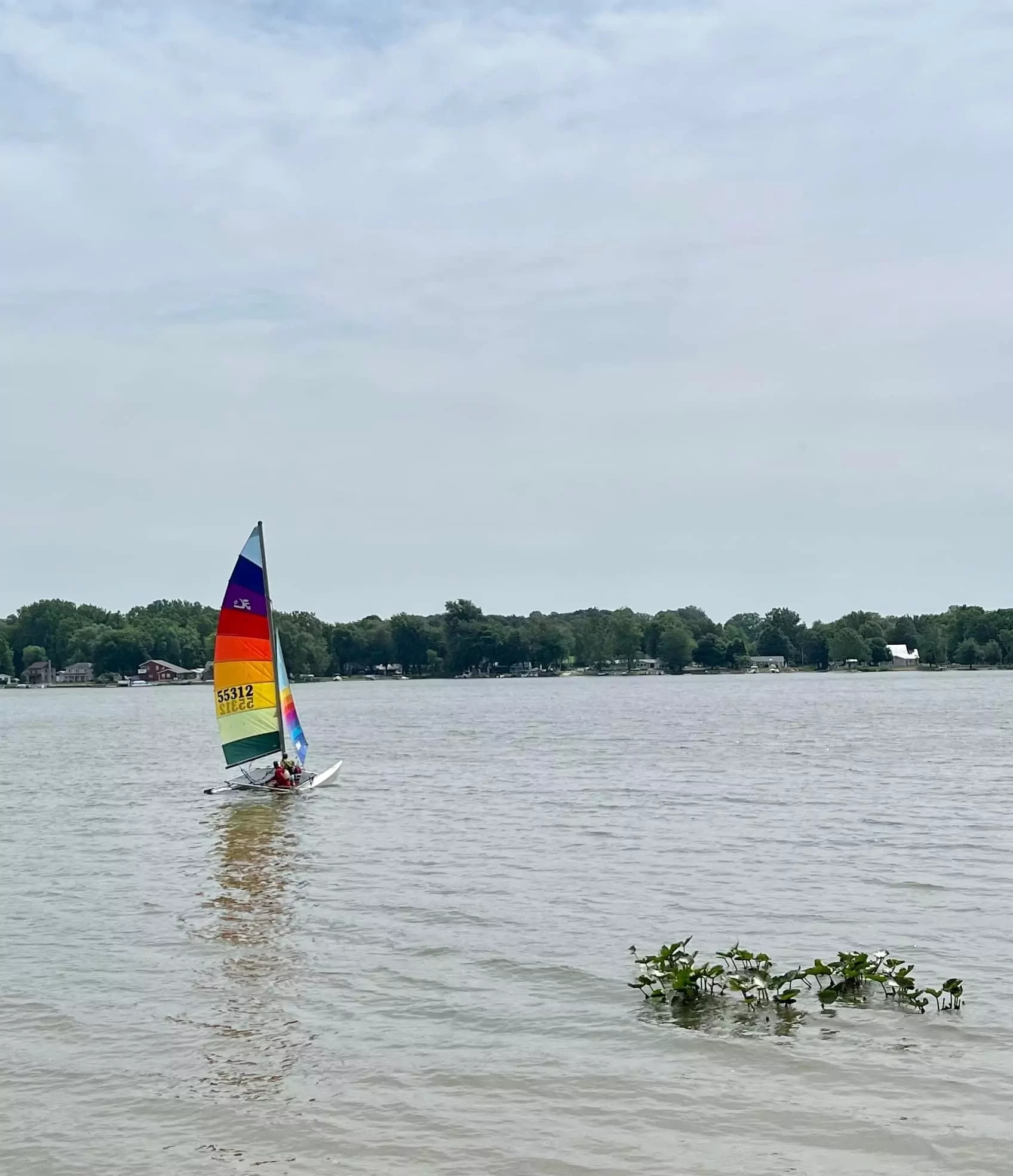 A small sailboat with a rainbow sail under way on Big Turkey Lake